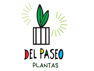 Del Paseo Plantas